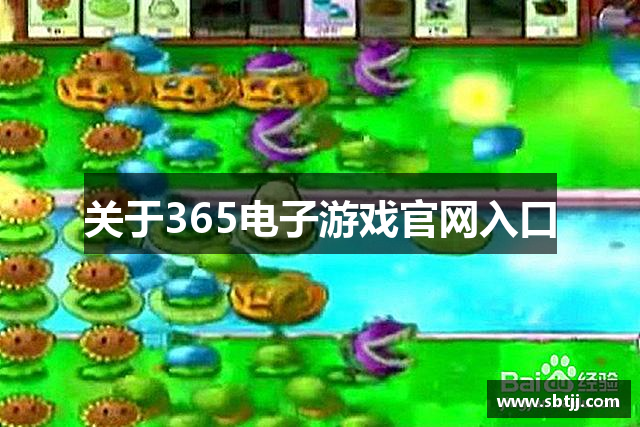 关于365电子游戏官网入口